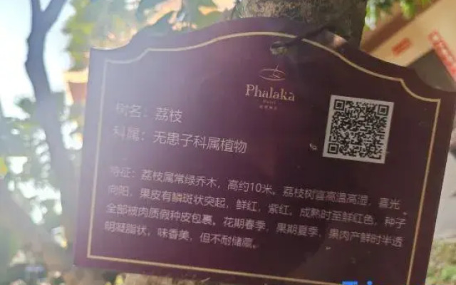 Phalaka hotel