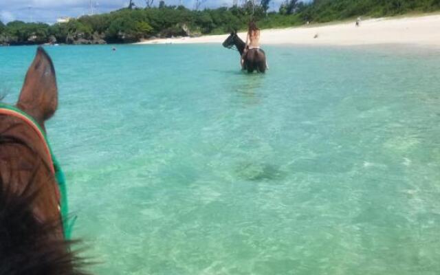 Muwmin Farm - Hostel