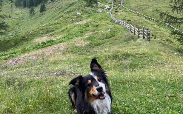 Appartamento a Spinazzeda cuore di Cles