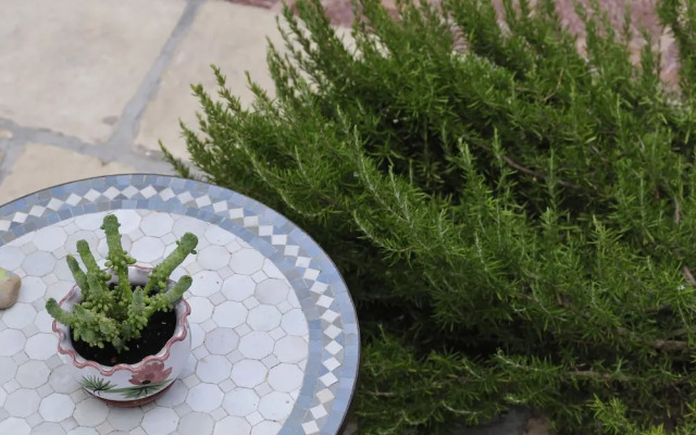 1880 Luxury Apartments