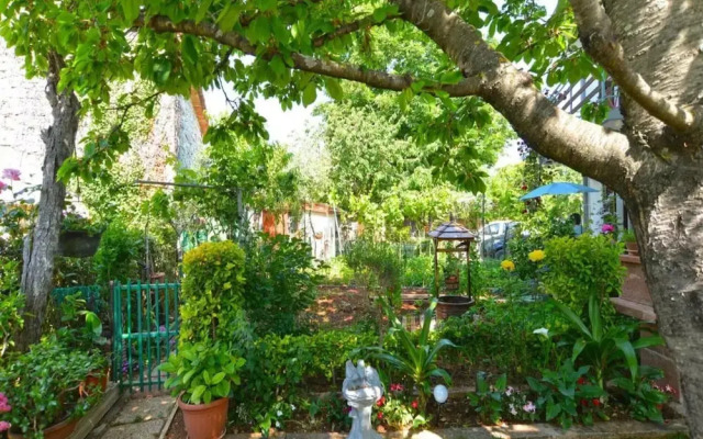 Spacious Apartment With Garden