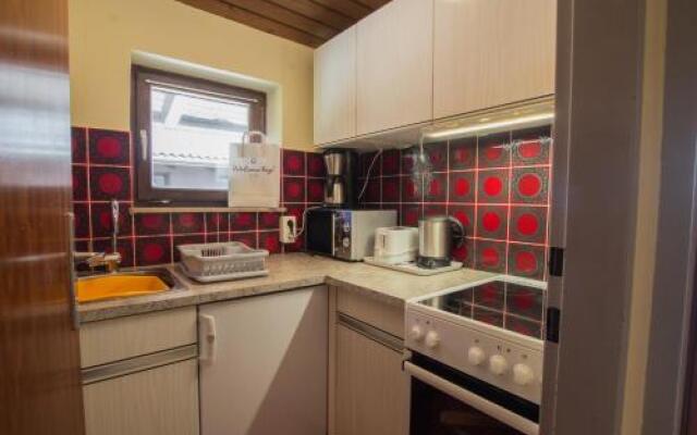 Apartment Schmid - Steinbock Lodges