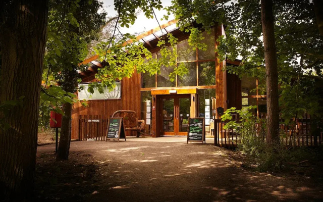 Forest Holidays Thorpe Forest