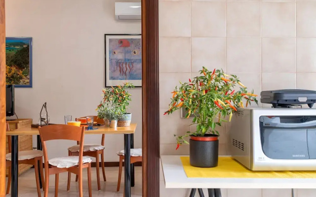 Sardinia RE - Lilium Central Flat