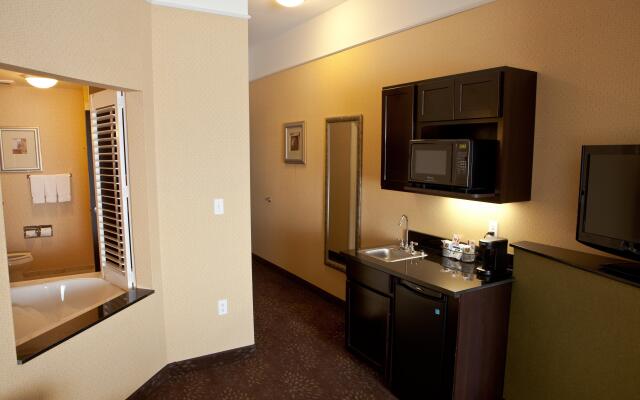 Holiday Inn Express Hotel & Suites Lansing-Dimondale by IHG