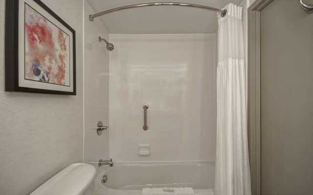 Hilton Garden Inn Detroit Metro Airport