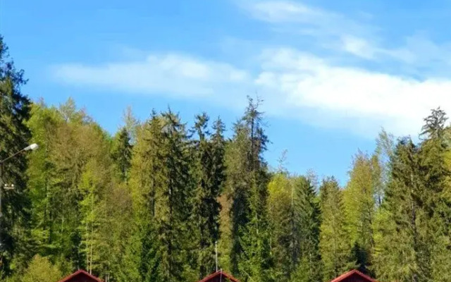 Vila Izvorul Minunilor