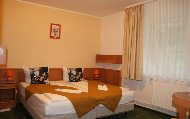 Waldhotel am Ilsestein