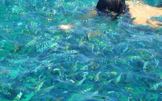 Koh Kood Island Resort