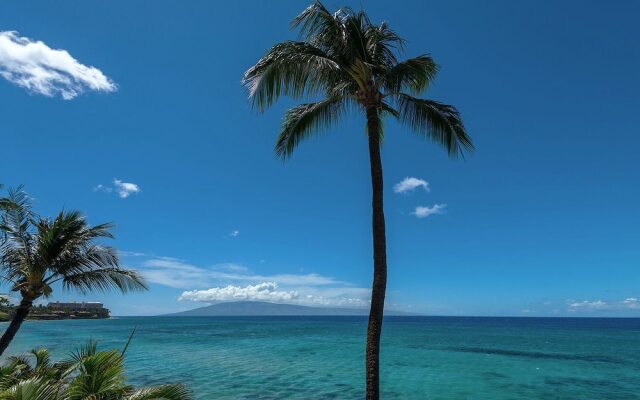 Hale Ono Loa 416 1 Bedroom 1 Bathroom Condo