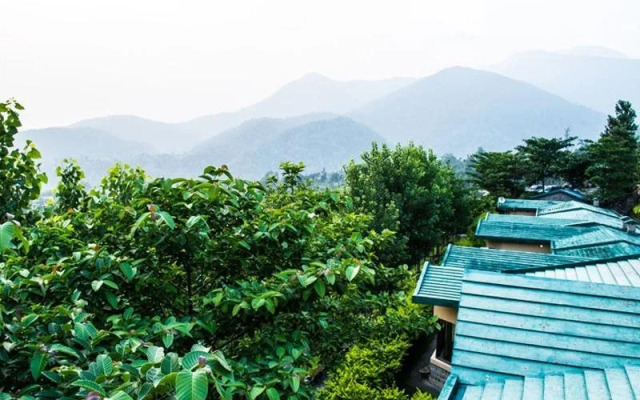 Gazaari Greenz Resort