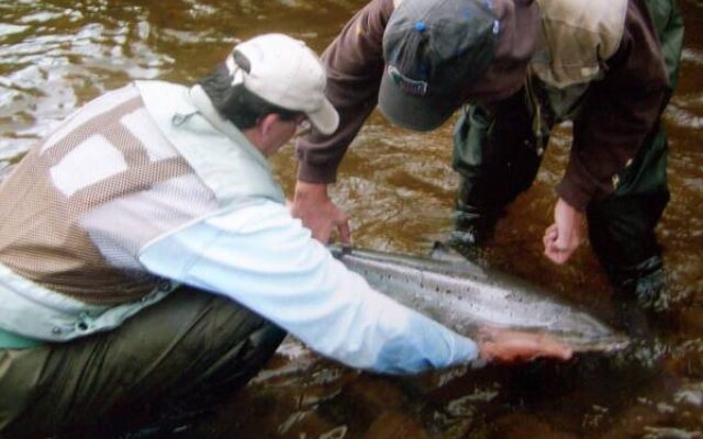 Auberge du Saumonier Lodge