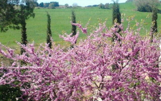 Agriturismo Boschetto di Montiano