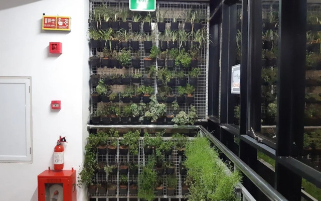 Olive Homes Residency