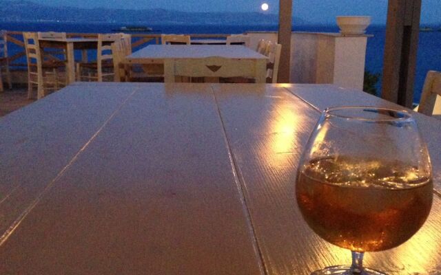 Paros Blue Dolphin