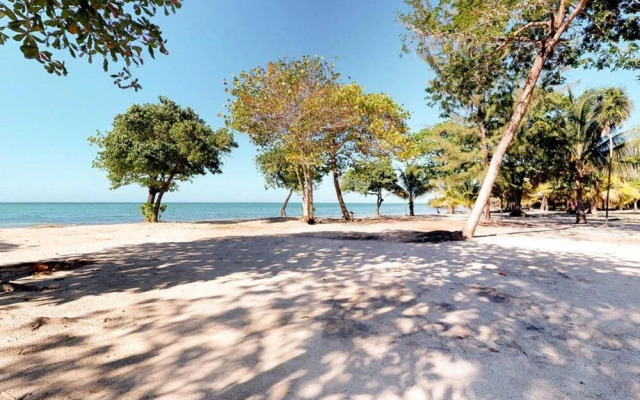 Laru Beya Palmetto Bay