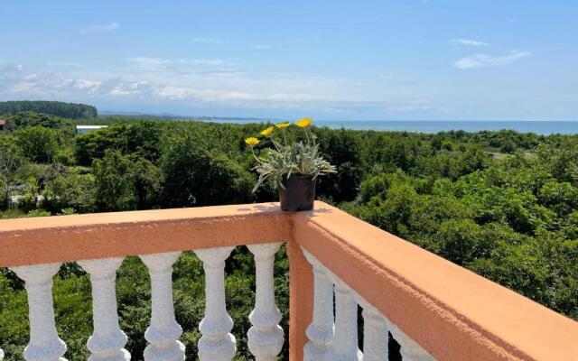 Guest House Passiflora პასიფლორა