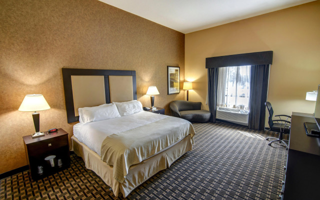 Holiday Inn Arlington NE-Rangers Ballpark by IHG