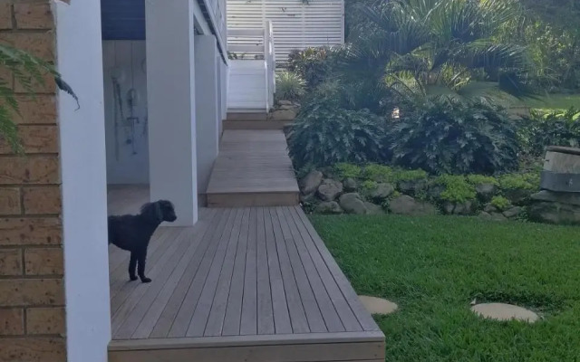 Sapphire Beach Pet Friendly Beach 5 minute walk