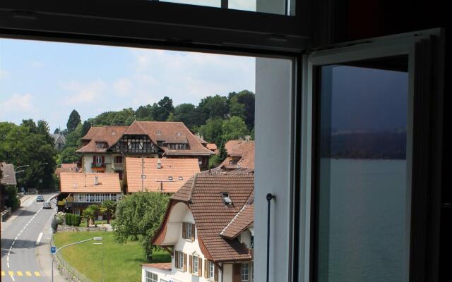 Hotel Restaurant Bellevue au Lac