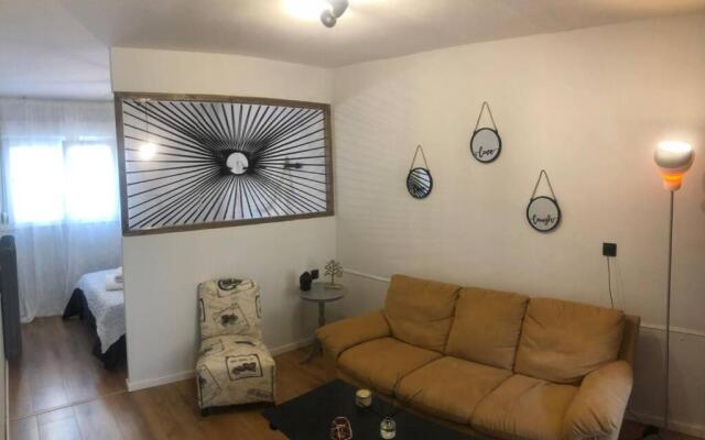 Comfortable studio w/ bicycles in the city center