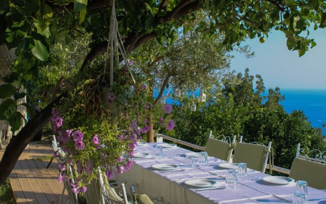 Aphrodite's Garden