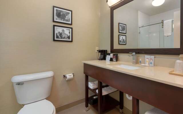 Comfort Inn & Suites Fayetteville - University Area