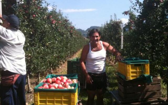 Agriturismo Linda
