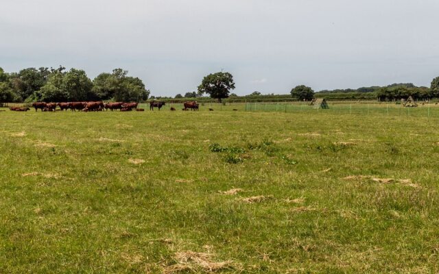 Woodmans Cottage @ Nables Farm