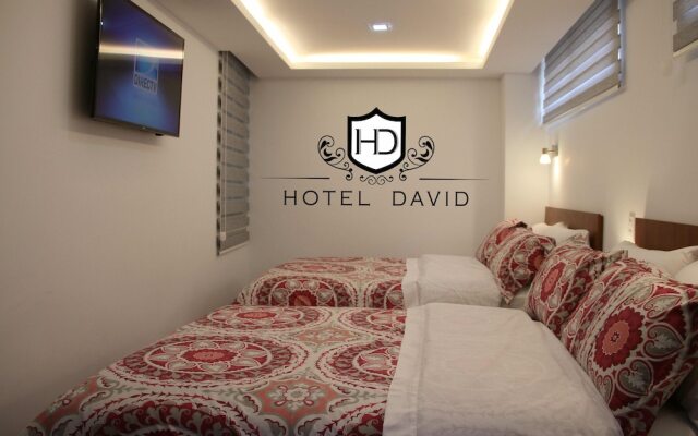 Hotel David