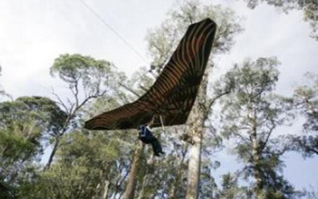 Tahune Lodge