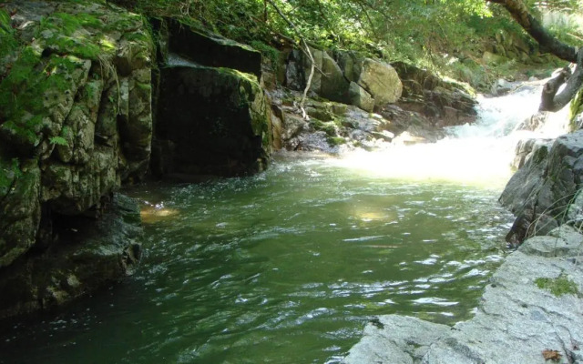 Shinevalley Pension & Hotel