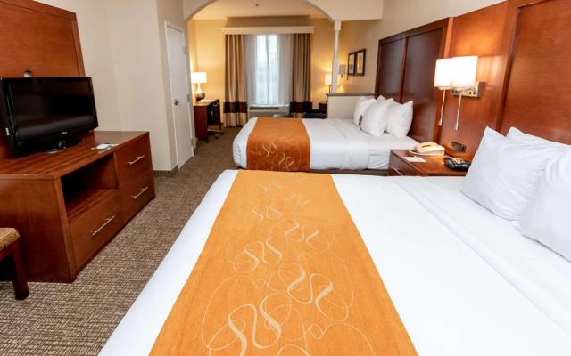 Comfort Suites Houston near Medical Center- NRG Stadium