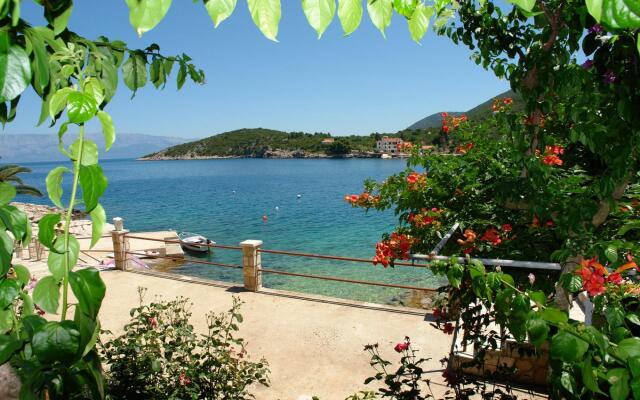 Nikola - 5 m From Beach - AA