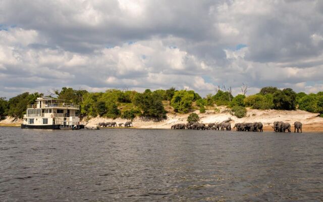 Chobe Princesses by Mantis