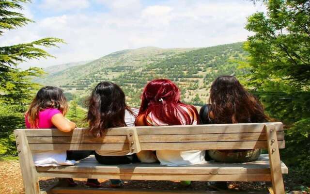 Boustany Guest House - Hostel