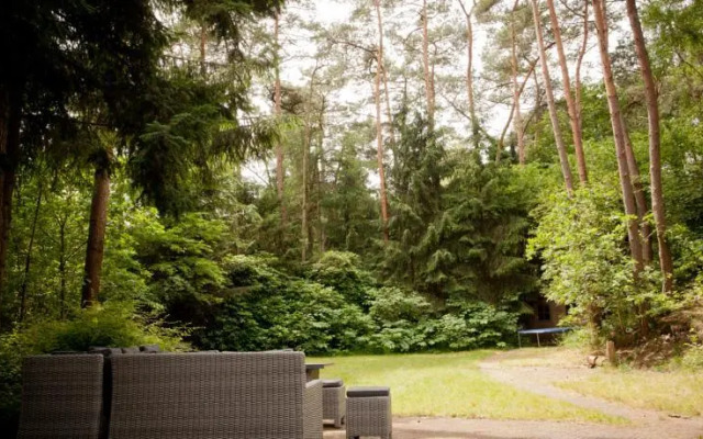 Lovely chalet in the woods