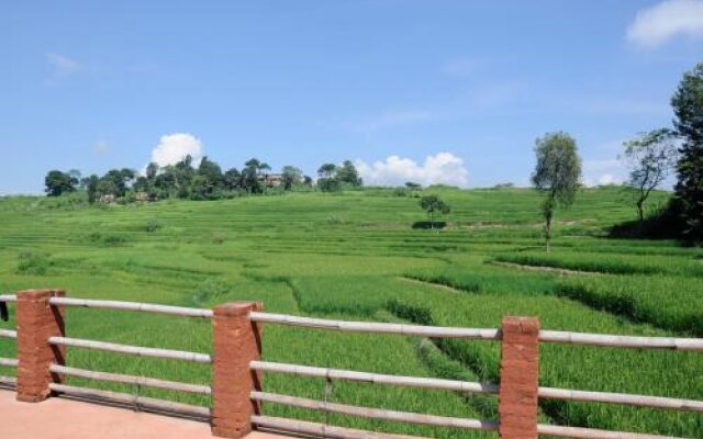 The Little House In The Ricefields