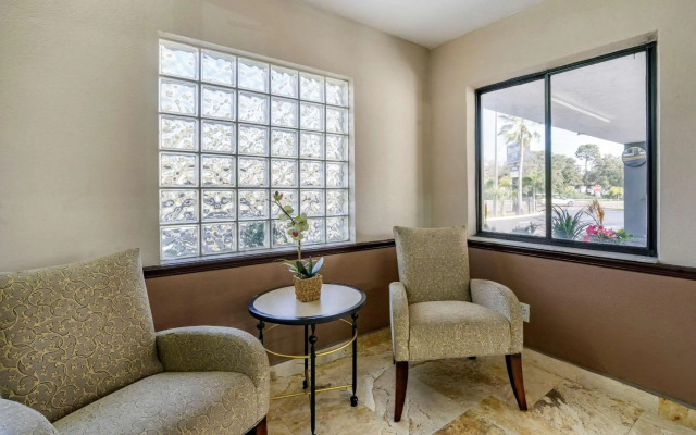 Rodeway Inn Clearwater - Dunedin