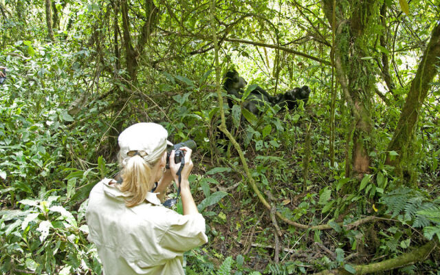 Sanctuary Gorilla Forest Camp