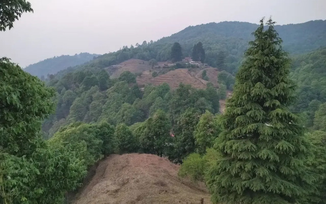 Simba Jungle Lodge, Binsar Wildlife Sanctuary