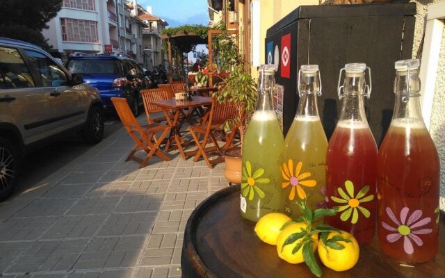 Hotel Albatros New Town