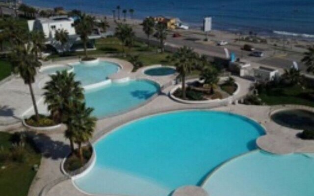 Depto Jardin del Mar 1113