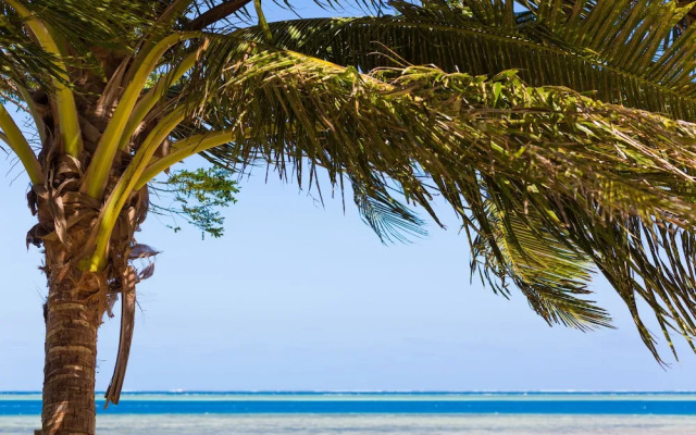 Funky Fish Beach & Surf Resort - Hostel