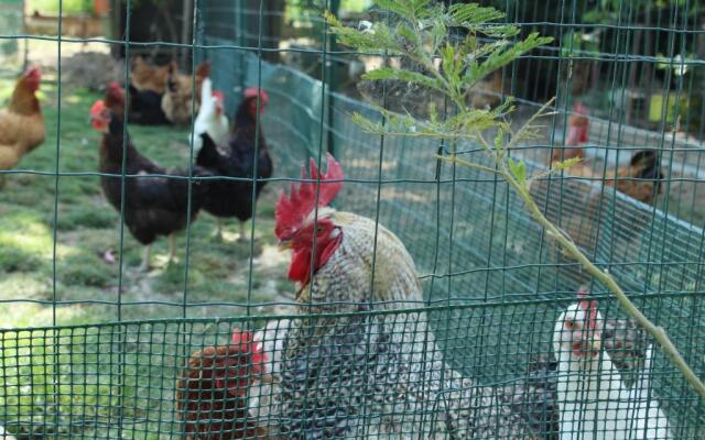 Veramaro,accogliente appartamento in campagna