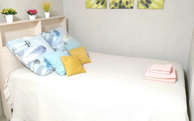 Апартаменты на проспекте Ленина 56