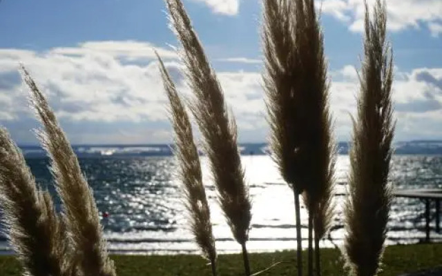 Hotel-Restaurant Alpha