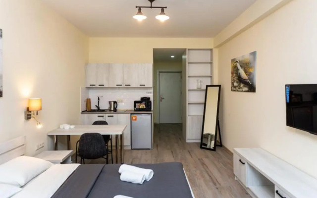 Cozy Studio Ski In Out Apartment In New Gudauri