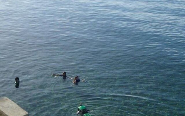 The Assemblage Point Resort and Convention Hub