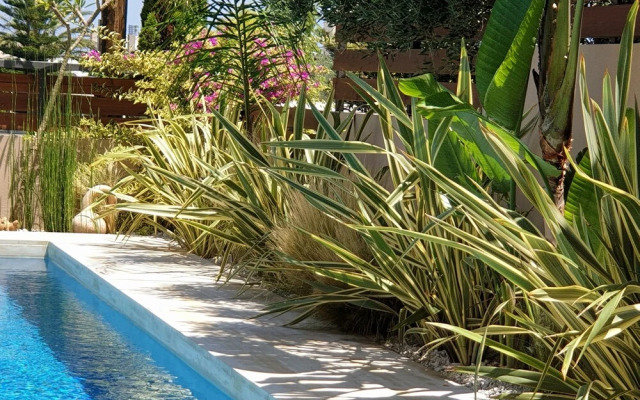 Fos Villa your place under the Cretan Sun with private heated pool